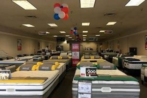 Nanuet's Best Mattress Firm: Your Sleep Starts Here Organic & Natural Mattress Buyer’s Guide: Non-Toxic Sleep Solutions Nanuet's Best Mattress Firm: Your Sleep Starts Here | Organic & Natural Mattress Buyer’s Guide: Non-Toxic Sleep Solutions