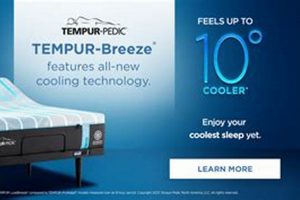 Find Your Dream Mattress: Mattress Firm Las Cruces! Organic & Natural Mattress Buyer’s Guide: Non-Toxic Sleep Solutions Find Your Dream Mattress: Mattress Firm Las Cruces! | Organic & Natural Mattress Buyer’s Guide: Non-Toxic Sleep Solutions