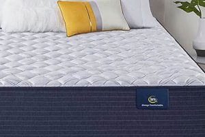 Best Mattress Firm Serta Deals & Reviews Organic & Natural Mattress Buyer’s Guide: Non-Toxic Sleep Solutions Best Mattress Firm Serta Deals & Reviews | Organic & Natural Mattress Buyer’s Guide: Non-Toxic Sleep Solutions