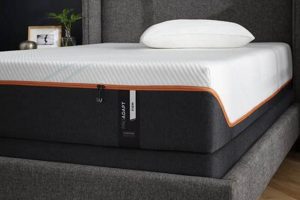 The Best Tempurpedic Firm Mattress: Support & Comfort | Organic & Natural Mattress Buyer’s Guide: Non-Toxic Sleep Solutions