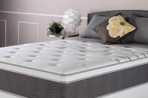 Best Firm Spring Mattress [Guide] for Back Support | Organic & Natural Mattress Buyer’s Guide: Non-Toxic Sleep Solutions