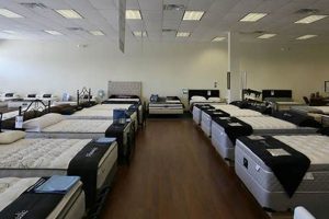 Best Mattress Firm Round Rock Store: Sleep Better Now! Organic & Natural Mattress Buyer’s Guide: Non-Toxic Sleep Solutions Best Mattress Firm Round Rock Store: Sleep Better Now! | Organic & Natural Mattress Buyer’s Guide: Non-Toxic Sleep Solutions