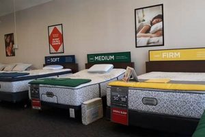 Best Mattress Firm DeKalb IL: Sleep Solutions & More! | Organic & Natural Mattress Buyer’s Guide: Non-Toxic Sleep Solutions