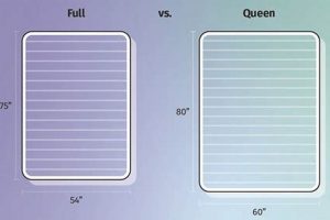 Full vs Queen Mattress: Size & Cost Showdown Organic & Natural Mattress Buyer’s Guide: Non-Toxic Sleep Solutions Full vs Queen Mattress: Size & Cost Showdown | Organic & Natural Mattress Buyer’s Guide: Non-Toxic Sleep Solutions