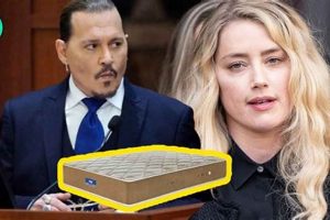 Unpacking the Amber Heard Mattress Firm Phenomenon: [Firm] | Organic & Natural Mattress Buyer’s Guide: Non-Toxic Sleep Solutions