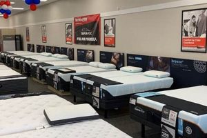 Your Norwalk Mattress Firm: Best Sleep Solutions Near CT! Organic & Natural Mattress Buyer’s Guide: Non-Toxic Sleep Solutions Your Norwalk Mattress Firm: Best Sleep Solutions Near CT! | Organic & Natural Mattress Buyer’s Guide: Non-Toxic Sleep Solutions