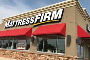 Best Mattress Firm Plano TX Deals: Sleep Better Now! | Organic & Natural Mattress Buyer’s Guide: Non-Toxic Sleep Solutions