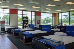 Best Mattress Firm Charleston SC: Sleep Better Deals! | Organic & Natural Mattress Buyer’s Guide: Non-Toxic Sleep Solutions