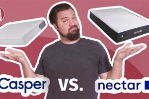 Casper vs Nectar Mattress: Which Bed Wins? Organic & Natural Mattress Buyer’s Guide: Non-Toxic Sleep Solutions Casper vs Nectar Mattress: Which Bed Wins? | Organic & Natural Mattress Buyer’s Guide: Non-Toxic Sleep Solutions