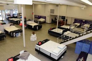 Best Mattress Firm Rockville: Sleep Solutions & Deals Organic & Natural Mattress Buyer’s Guide: Non-Toxic Sleep Solutions Best Mattress Firm Rockville: Sleep Solutions & Deals | Organic & Natural Mattress Buyer’s Guide: Non-Toxic Sleep Solutions