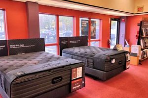 Best Mattress Firm Beverly: Sleep Solutions & More Organic & Natural Mattress Buyer’s Guide: Non-Toxic Sleep Solutions Best Mattress Firm Beverly: Sleep Solutions & More | Organic & Natural Mattress Buyer’s Guide: Non-Toxic Sleep Solutions