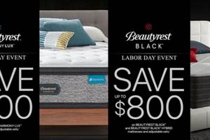 Best Mattress Firm Mankato: Sleep Better Now! | Organic & Natural Mattress Buyer’s Guide: Non-Toxic Sleep Solutions