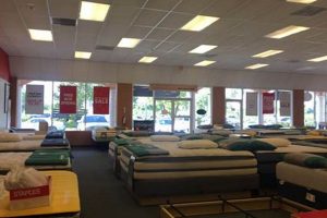 Best Mattress Firm Doral Deals: Sleep Soundly Here! Organic & Natural Mattress Buyer’s Guide: Non-Toxic Sleep Solutions Best Mattress Firm Doral Deals: Sleep Soundly Here! | Organic & Natural Mattress Buyer’s Guide: Non-Toxic Sleep Solutions