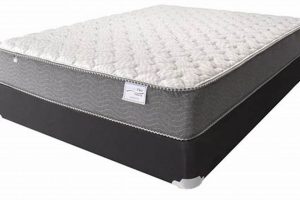 Shop Greenville Mattress Firm Today - Best Beds! | Organic & Natural Mattress Buyer’s Guide: Non-Toxic Sleep Solutions