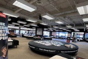 Mattresses at Mattress Firm Sonora Village Near You | Organic & Natural Mattress Buyer’s Guide: Non-Toxic Sleep Solutions