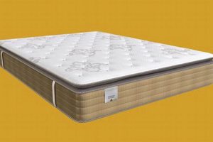 Montclair Mattress Firm: Your Sleep Starts Here! | Organic & Natural Mattress Buyer’s Guide: Non-Toxic Sleep Solutions