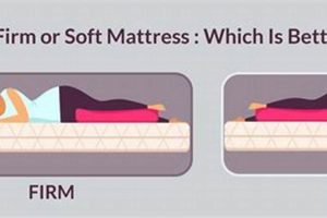 Firm vs Soft Mattress: Which One is Right For You? Organic & Natural Mattress Buyer’s Guide: Non-Toxic Sleep Solutions Firm vs Soft Mattress: Which One is Right For You? | Organic & Natural Mattress Buyer’s Guide: Non-Toxic Sleep Solutions