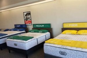 Shop Mattresses Natick MA | Mattress Firm Near You Organic & Natural Mattress Buyer’s Guide: Non-Toxic Sleep Solutions Shop Mattresses Natick MA | Mattress Firm Near You | Organic & Natural Mattress Buyer’s Guide: Non-Toxic Sleep Solutions