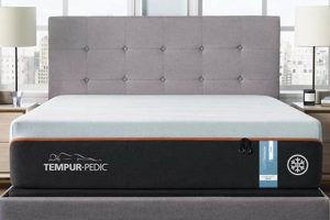 Firm Tempur-Pedic Mattress: Support & Comfort Guide Organic & Natural Mattress Buyer’s Guide: Non-Toxic Sleep Solutions Firm Tempur-Pedic Mattress: Support & Comfort Guide | Organic & Natural Mattress Buyer’s Guide: Non-Toxic Sleep Solutions