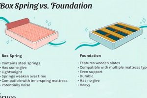 Foundation vs Box Spring: Which Mattress Base Wins? Organic & Natural Mattress Buyer’s Guide: Non-Toxic Sleep Solutions Foundation vs Box Spring: Which Mattress Base Wins? | Organic & Natural Mattress Buyer’s Guide: Non-Toxic Sleep Solutions