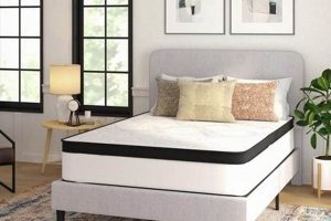 Your Best Mattress Firm Logan UT Guide | Organic & Natural Mattress Buyer’s Guide: Non-Toxic Sleep Solutions