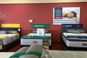 Find Your Perfect Mattress: Mattress Firm Monroe Deals! Organic & Natural Mattress Buyer’s Guide: Non-Toxic Sleep Solutions Find Your Perfect Mattress: Mattress Firm Monroe Deals! | Organic & Natural Mattress Buyer’s Guide: Non-Toxic Sleep Solutions