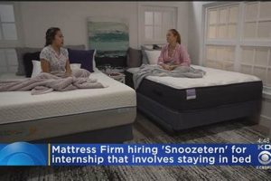 Local Mattress Firm Hiring Near You: Apply Today! Organic & Natural Mattress Buyer’s Guide: Non-Toxic Sleep Solutions Local Mattress Firm Hiring Near You: Apply Today! | Organic & Natural Mattress Buyer’s Guide: Non-Toxic Sleep Solutions