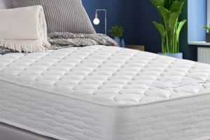 Best Firm Orthopedic Mattress: For Back Support | Organic & Natural Mattress Buyer’s Guide: Non-Toxic Sleep Solutions