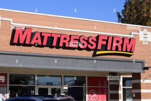 Best Mattress Firm South Burlington: Sleep Solutions! Organic & Natural Mattress Buyer’s Guide: Non-Toxic Sleep Solutions Best Mattress Firm South Burlington: Sleep Solutions! | Organic & Natural Mattress Buyer’s Guide: Non-Toxic Sleep Solutions