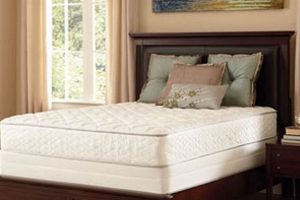 Aberdeen's Best Mattress Firm: [Brand Name] Sleep Solutions | Organic & Natural Mattress Buyer’s Guide: Non-Toxic Sleep Solutions