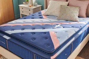 Find: Mattress Firm Bloomingdale Near You - Sleep Better | Organic & Natural Mattress Buyer’s Guide: Non-Toxic Sleep Solutions