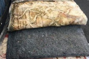 Shop Best Mattress Firm in Hackensack, NJ: Find Your Perfect Bed | Organic & Natural Mattress Buyer’s Guide: Non-Toxic Sleep Solutions