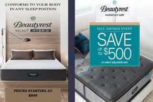 Best Mattress Firm Lebanon: Sleep Solutions & More | Organic & Natural Mattress Buyer’s Guide: Non-Toxic Sleep Solutions