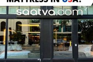 Local Key West Mattress Firm: Sleep Solutions & More! | Organic & Natural Mattress Buyer’s Guide: Non-Toxic Sleep Solutions