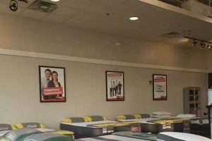 Save Big! Mattress Firm Clearance Center Forum Deals Near You | Organic & Natural Mattress Buyer’s Guide: Non-Toxic Sleep Solutions