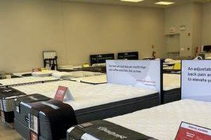 Your Best Mattress: Mattress Firm Broadway Square Experts | Organic & Natural Mattress Buyer’s Guide: Non-Toxic Sleep Solutions