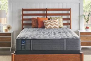 Sealy Ultra Firm Mattress: Is it Right for *You*? | Organic & Natural Mattress Buyer’s Guide: Non-Toxic Sleep Solutions
