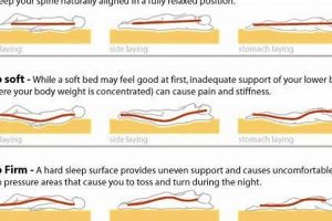 Best Firm Mattress for Bad Back: Sleep Soundly Tonight | Organic & Natural Mattress Buyer’s Guide: Non-Toxic Sleep Solutions