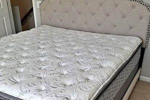 Best Mattress Firm Lake Forest Store: Sleep Soundly Here | Organic & Natural Mattress Buyer’s Guide: Non-Toxic Sleep Solutions