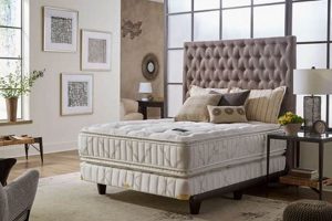 Find Your Firm Mattress: Mattress Firm Burlington NC | Organic & Natural Mattress Buyer’s Guide: Non-Toxic Sleep Solutions