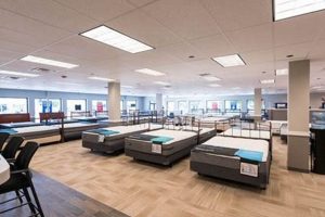 Sleep Soundly: Mattress Firm Hillcrest Deals Near You | Organic & Natural Mattress Buyer’s Guide: Non-Toxic Sleep Solutions