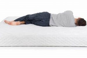 Best Extra Firm Mattress for Back Pain Relief: Is It Right for You? | Organic & Natural Mattress Buyer’s Guide: Non-Toxic Sleep Solutions