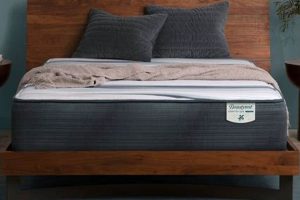 Mattress Firm Seabrook NH: Sleep Better in Seabrook! | Organic & Natural Mattress Buyer’s Guide: Non-Toxic Sleep Solutions