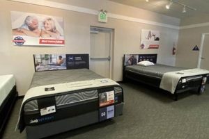 Find Your Firm Comfort: Mattress Firm Lakewood Deals | Organic & Natural Mattress Buyer’s Guide: Non-Toxic Sleep Solutions