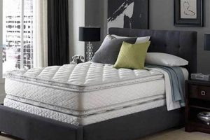 Best Mattress Firm in Boynton Beach: Your Sleep Starts Here! | Organic & Natural Mattress Buyer’s Guide: Non-Toxic Sleep Solutions