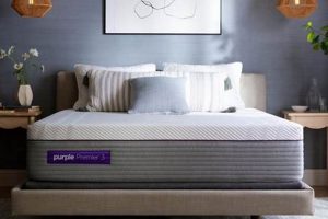 Is Mattress Firm Purple Right For You? A Firm Choice! | Organic & Natural Mattress Buyer’s Guide: Non-Toxic Sleep Solutions