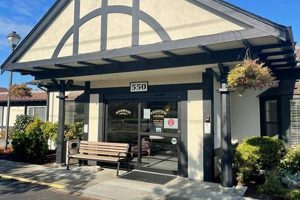 Find a Better Bed Near You: Mattress Firm Sequim WA | Organic & Natural Mattress Buyer’s Guide: Non-Toxic Sleep Solutions