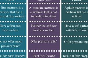 Plush vs Medium Mattress: Which Comfort is Best For You? Organic & Natural Mattress Buyer’s Guide: Non-Toxic Sleep Solutions Plush vs Medium Mattress: Which Comfort is Best For You? | Organic & Natural Mattress Buyer’s Guide: Non-Toxic Sleep Solutions