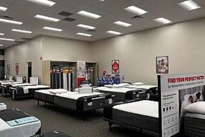 Find Best Mattress Firm Sunnyvale, CA - [Year] Deals! | Organic & Natural Mattress Buyer’s Guide: Non-Toxic Sleep Solutions