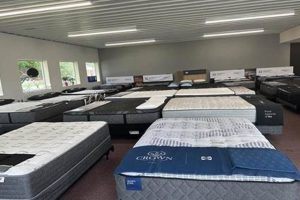 Mattress Firm Champaign, IL: Your Sleep Starts Here! Organic & Natural Mattress Buyer’s Guide: Non-Toxic Sleep Solutions Mattress Firm Champaign, IL: Your Sleep Starts Here! | Organic & Natural Mattress Buyer’s Guide: Non-Toxic Sleep Solutions